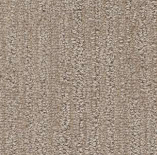 Unit Bedrooms Carpet