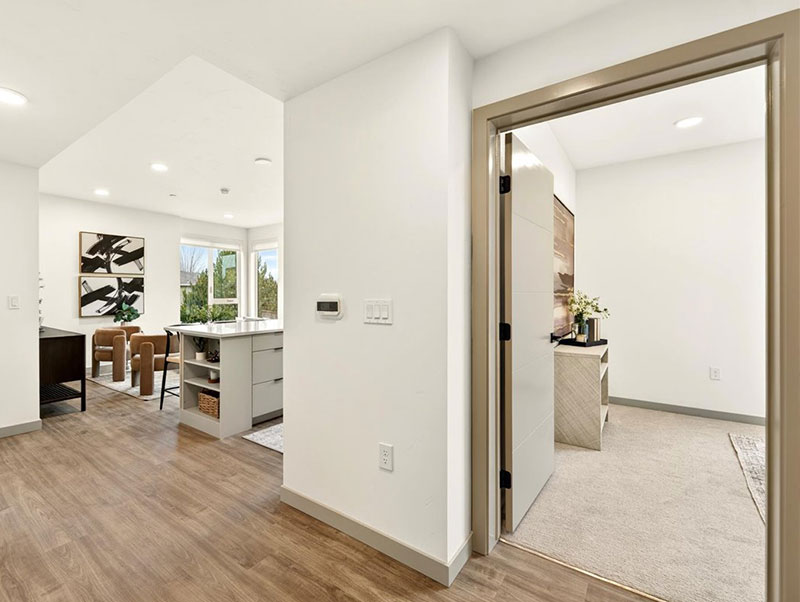 The Ivywild kitchen, living space and bedroom